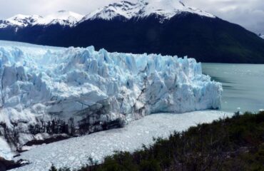 Calafate Perito Moreno