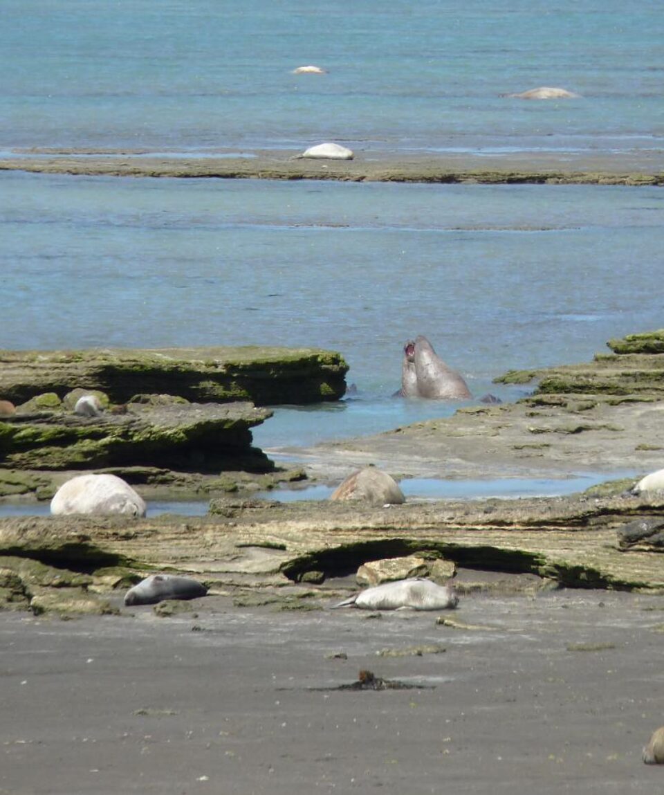 Argentina al Completo