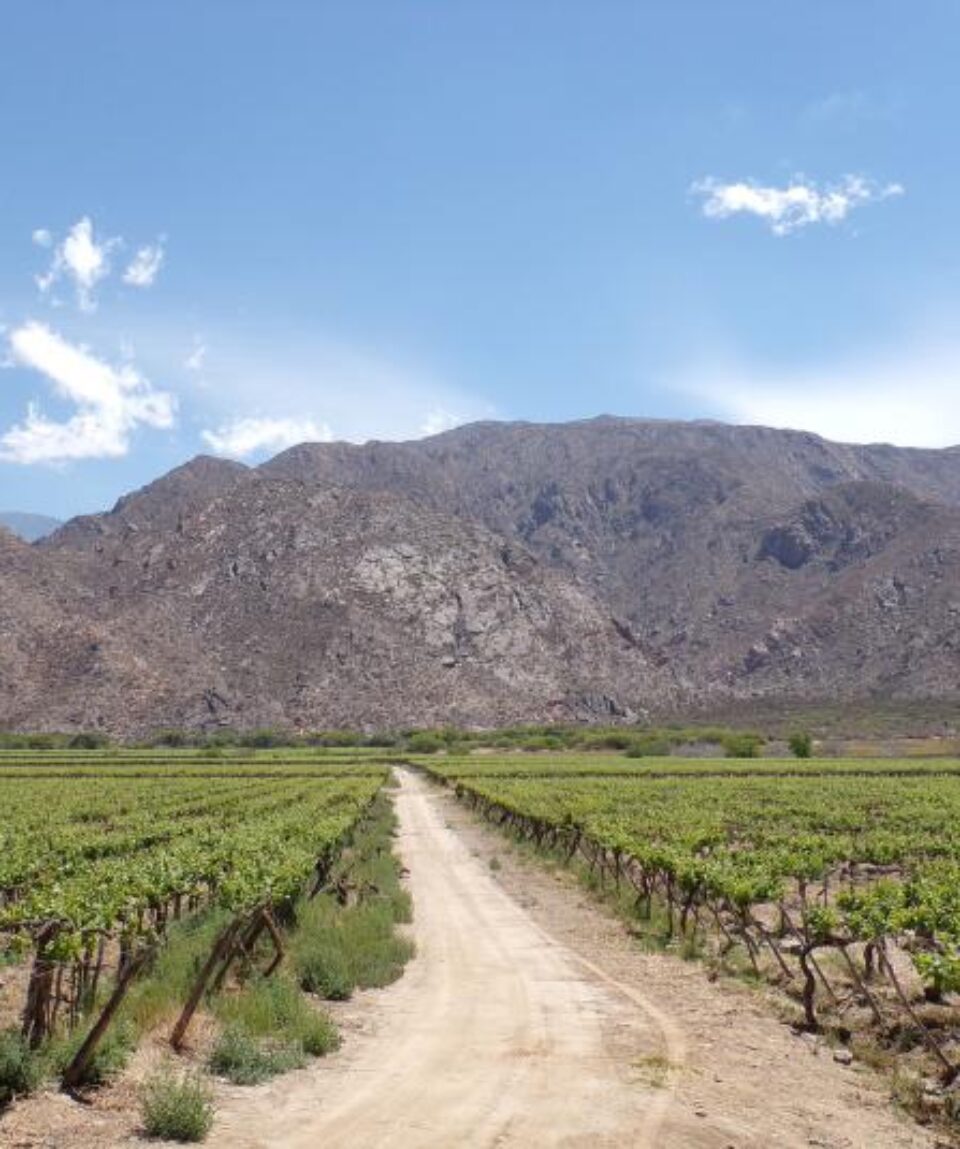 Argentina Norte Salta