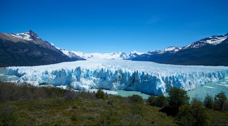 Calafate