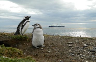 Cruceros Australis Isla Magdalena