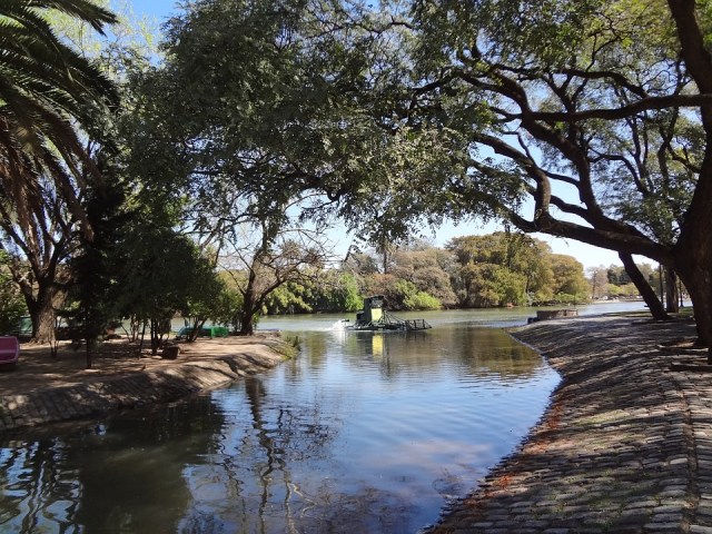 El jardín de rosas en el parque de Palermo