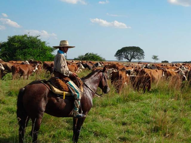 El gaucho Martín Fierro de José Hernández