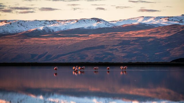 Lago Argentino, Calafate, Argentina