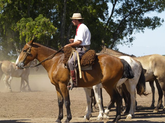 Montar en caballo con los famosos gauchos
