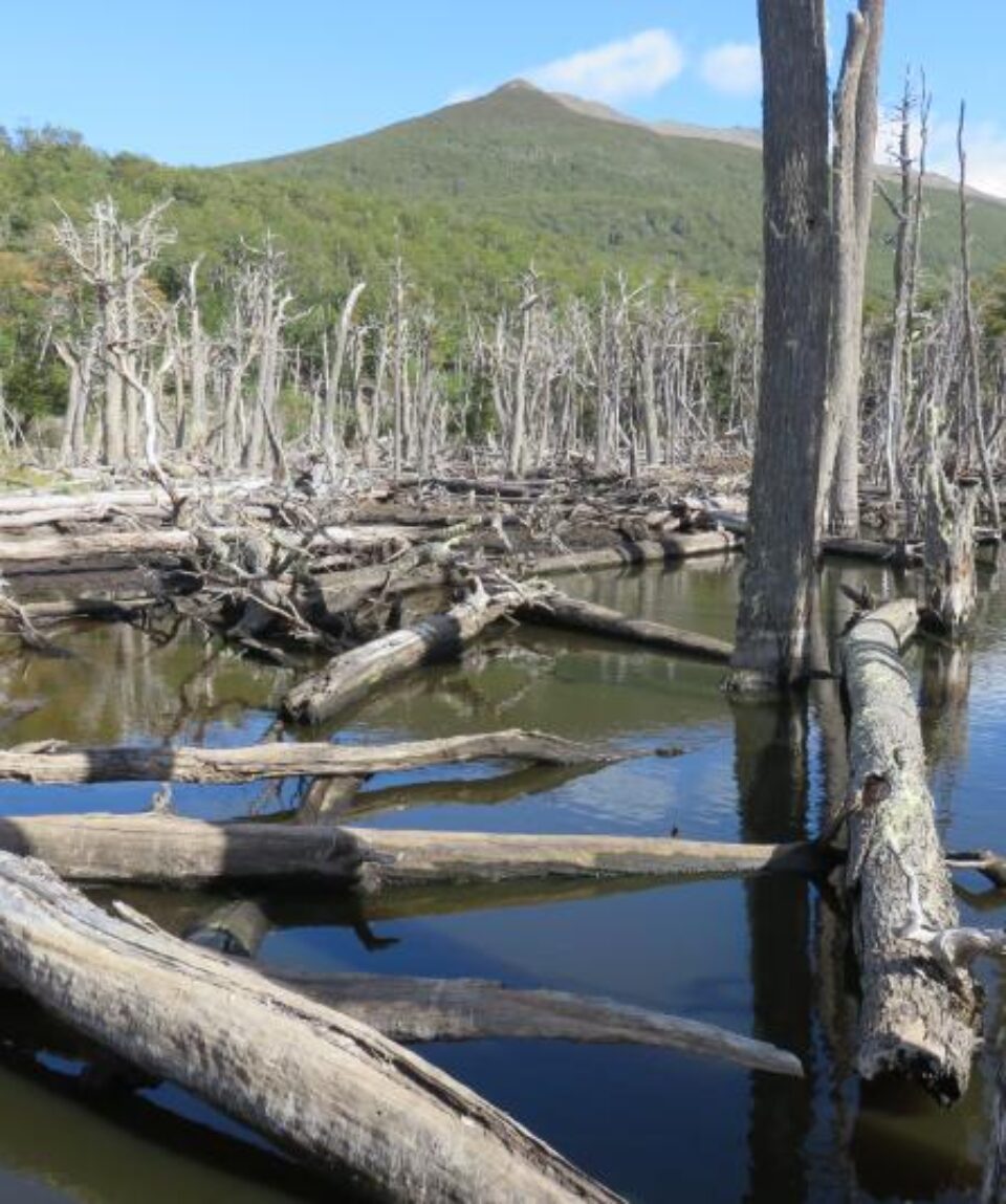 Ushuaia Parque Nacional